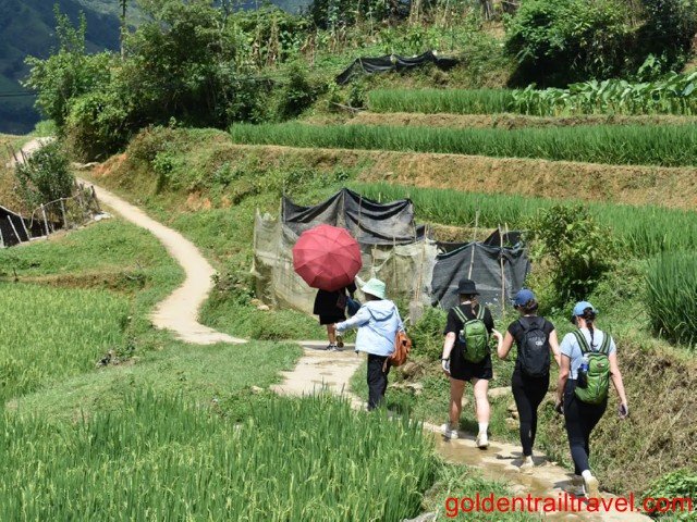 1 Day Sapa Trek